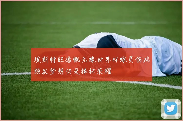 埃斯特旺感慨无缘世界杯球员伤病频发梦想仍是捧杯荣耀